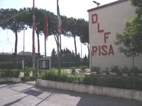 DLF Pisa